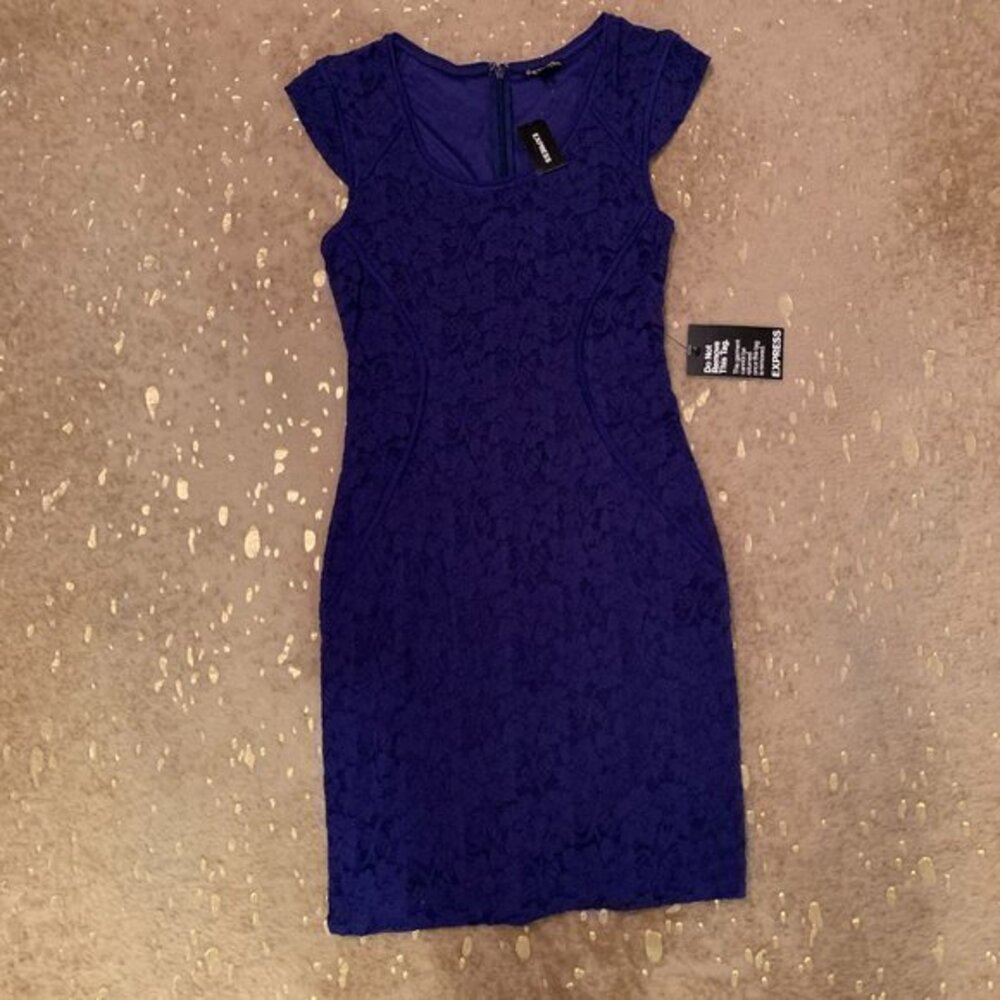 Express Lace Bodycon Dress NWT